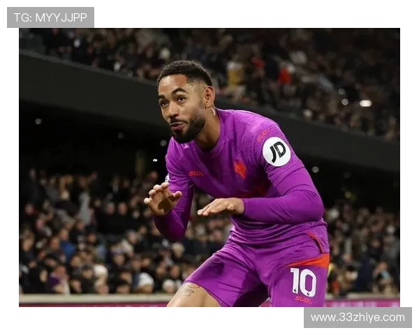 中资英超球队：中资背景的英超球队及其投资影响